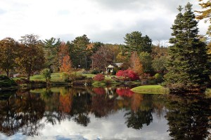 Asticou Azalea Garden