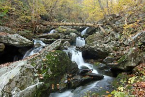 South River Falls Trail