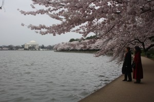 Tidal Basin