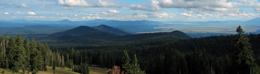 Oregon Landscape