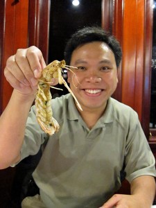 Eating mantis prawn